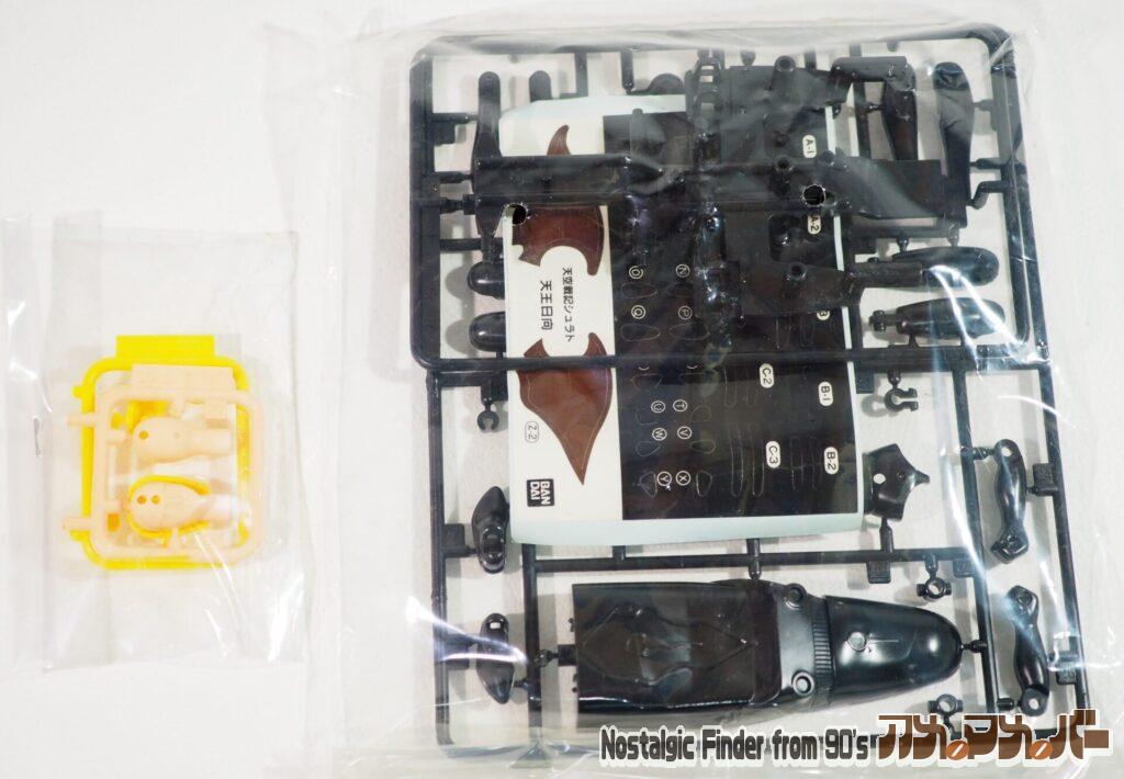 天王 日向(テンオウ ヒュウガ)ランナー01