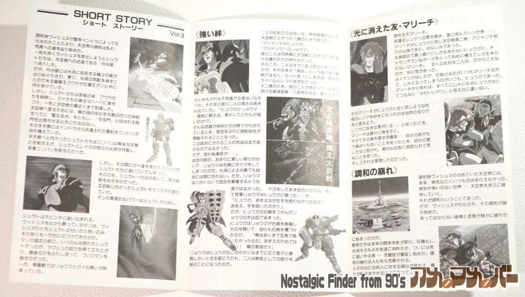 天王 日向(テンオウ ヒュウガ)解説書02