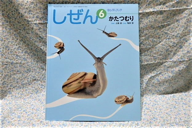 フレーベル館 しぜん キンダーブック かたつむり