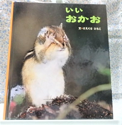 いいおかお リス 写真