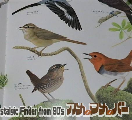 絵本 ずかんライブラリー 鳥のなき声ずかん 福音館書店